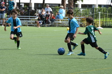 Enlarge photo 30