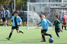 Enlarge photo 35