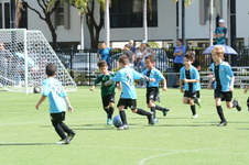 Enlarge photo 43