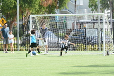 Enlarge photo 46