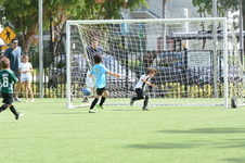 Enlarge photo 48