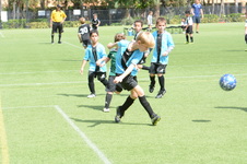 Enlarge photo 47
