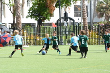Enlarge photo 51