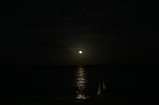 Enlarge photo 47