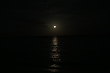 Enlarge photo 48
