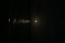 Enlarge photo 49