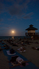 Enlarge photo 59