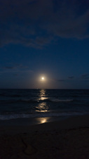 Enlarge photo 60