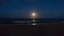 Enlarge photo 61