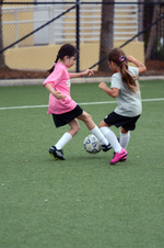 Enlarge photo 62