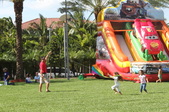 Enlarge photo 76