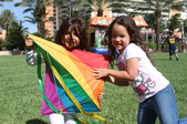 Enlarge photo 84