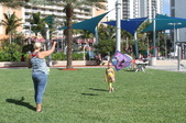 Enlarge photo 85
