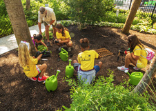 Planting Seedlings in Butterfly Garden