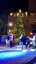 Enlarge photo 32