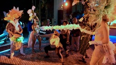 Enlarge photo 105
