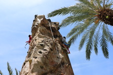 Enlarge photo 54