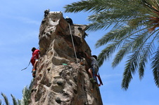 Enlarge photo 55