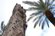 Enlarge photo 159