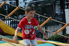 Enlarge photo 195