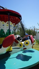Enlarge photo 52
