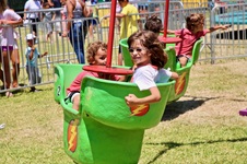 Enlarge photo 222