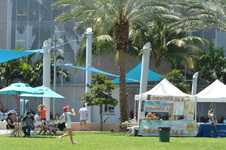 Enlarge photo 56