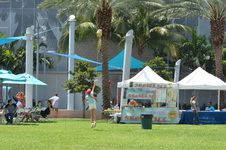Enlarge photo 57