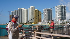 Enlarge photo 11