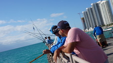 Enlarge photo 18