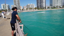 Enlarge photo 27