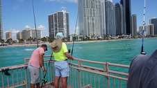 Enlarge photo 32