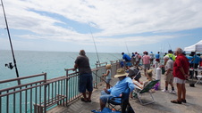 Enlarge photo 38