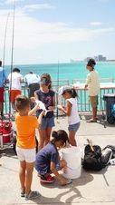 Enlarge photo 52