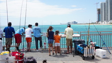 Enlarge photo 53