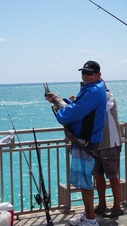 Enlarge photo 54