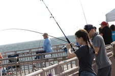 Enlarge photo 63
