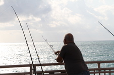 Enlarge photo 64