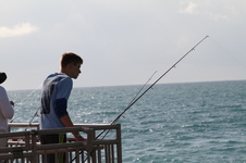 Enlarge photo 66