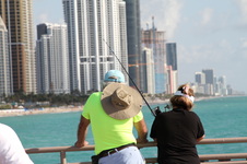 Enlarge photo 70