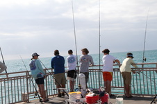 Enlarge photo 72