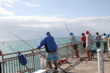 Enlarge photo 75