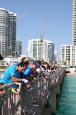 Enlarge photo 81
