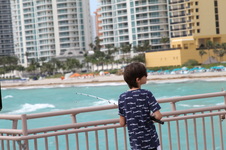Enlarge photo 82