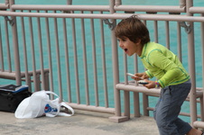Enlarge photo 85