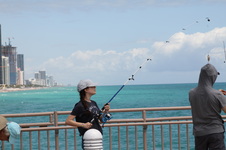 Enlarge photo 91
