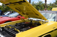 Enlarge photo 73