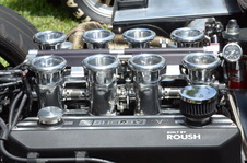 Enlarge photo 79