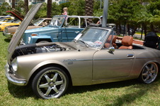 Enlarge photo 83