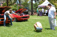 Enlarge photo 135